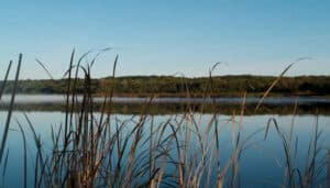 Click here to read about Moraine Valley being chosen as a Center for Sustainability.