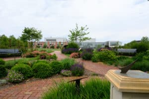 Campus during the summer