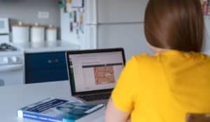 We offer fully online programs